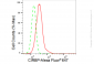 KD-Validated Anti-CIRBP Rabbit Monoclonal Antibody