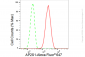 KD-Validated Anti-AP2S1 Rabbit Monoclonal Antibody