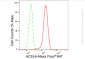 KD-Validated Anti-ACSL4 Rabbit Monoclonal Antibody