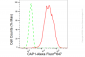 KD-Validated Anti-CAP1 Rabbit Monoclonal Antibody