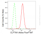 KD-Validated Anti-CLPTM1 Rabbit Monoclonal Antibody