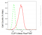 KD-Validated Anti-CLIP1 Rabbit Monoclonal Antibody
