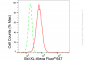 KD-Validated Anti-Bcl-XL Rabbit Monoclonal Antibody