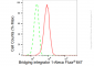 KD-Validated Anti-Bridging integrator 1 Rabbit Monoclonal Antibody