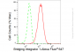 KD-Validated Anti-Bridging integrator 1 Rabbit Monoclonal Antibody