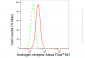 KD-Validated Anti-Androgen receptor Rabbit Monoclonal Antibody