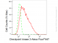 KD-Validated Anti-Checkpoint kinase 2 Rabbit Monoclonal Antibody