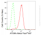 KD-Validated Anti-ATG9A Rabbit Monoclonal Antibody