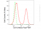 KD-Validated Anti-CD13 Rabbit Monoclonal Antibody