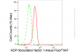 KD-Validated Anti-ADP ribosylation factor 1 Rabbit Monoclonal Antibody
