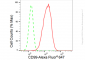 KD-Validated Anti-CD99 Rabbit Monoclonal Antibody