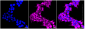 KD-Validated Anti-ATP2A2 Rabbit Monoclonal Antibody