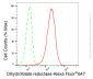 KD-Validated Anti-Dihydrofolate reductase Rabbit Monoclonal Antibody