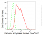KD-Validated Anti-Carbonic anhydrase II Rabbit Monoclonal Antibody