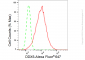 KD-Validated Anti-DDX5 Rabbit Monoclonal Antibody