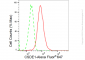 KD-Validated Anti-CSDE1 Rabbit Monoclonal Antibody