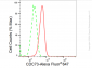 KD-Validated Anti-CDC73 Rabbit Monoclonal Antibody