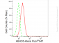 KD-Validated Anti-ABHD5 Rabbit Monoclonal Antibody