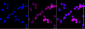 KD-Validated Anti-Histone deacetylase 8 Rabbit Monoclonal Antibody