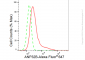 KD-Validated Anti-ANP32B Rabbit Monoclonal Antibody