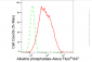 KD-Validated Anti-Alkaline phosphatase Rabbit Monoclonal Antibody