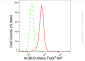KD-Validated Anti-ACBD3 Rabbit Monoclonal Antibody