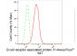 KD-Validated Anti-B cell receptor associated protein 31 Rabbit Monoclonal Antibody