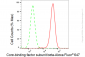 KD-Validated Anti-Core-binding factor subunit beta Rabbit Monoclonal Antibody