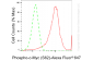 KD-Validated Anti-Phospho-c-Myc (S62) Rabbit Monoclonal Antibody