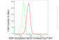 KD-Validated Anti-ADP ribosylation factor 5 Rabbit Monoclonal Antibody