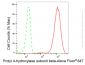 KD-Validated Anti-Prolyl 4-hydroxylase subunit beta Rabbit Monoclonal Antibody