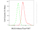 KD-Validated Anti-MUC4 Rabbit Monoclonal Antibody