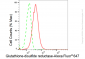 KD-Validated Anti-Glutathione-disulfide reductase Rabbit Monoclonal Antibody