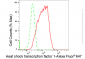 KD-Validated Anti-Heat shock transcription factor 1 Rabbit Monoclonal Antibody