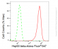 KD-Validated Anti-Hsp90 beta Rabbit Monoclonal Antibody