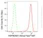 KD-Validated Anti-Hsp90 beta Rabbit Monoclonal Antibody