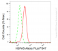 KD-Validated Anti-HSPA5 Rabbit Monoclonal Antibody