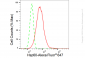 KD-Validated Anti-Hsp60 Rabbit Monoclonal Antibody