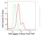KD-Validated Anti-DNA ligase 4 Rabbit Monoclonal Antibody