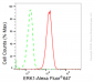 KD-Validated Anti-ERK1 Rabbit Monoclonal Antibody
