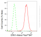 KD-Validated Anti-ERK1 Rabbit Monoclonal Antibody