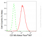 KD-Validated Anti-CD146 Rabbit Monoclonal Antibody