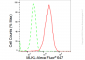 KD-Validated Anti-MLKL Rabbit Monoclonal Antibody