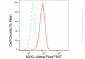 KD-Validated Anti-MLKL Rabbit Monoclonal Antibody