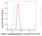 KD-Validated Anti-Matrix metallopeptidase 14 Rabbit Monoclonal Antibody