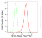 KD-Validated Anti-NEK7 Rabbit Monoclonal Antibody