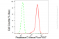 KD-Validated Anti-Peptidase D Rabbit Monoclonal Antibody