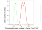 KD-Validated Anti-Phosphoglycerate kinase 1 Rabbit Monoclonal Antibody
