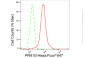 KD-Validated Anti-PPM1G Rabbit Monoclonal Antibody