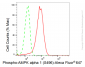KD-Validated Anti-Phospho-AMPK alpha 1 (S496) Rabbit Monoclonal Antibody